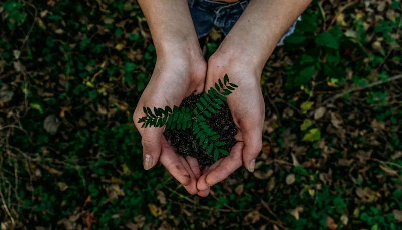 Sustainable Snacking: Eco-Friendly Choices