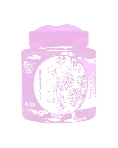 Preserved Plum Fruit Snacks 180g