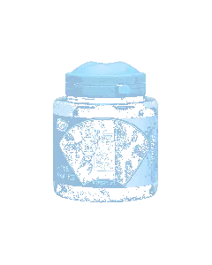 Salted Preserved Fruit 170g