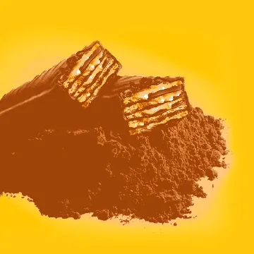Crunchy Shark Chocolate Wafers, 21oz