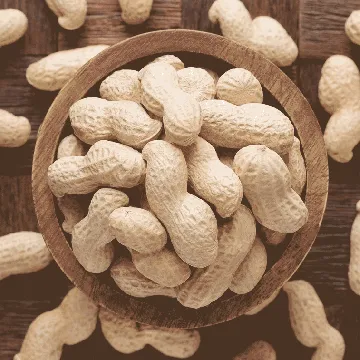 FARMER BRAND Dried Peanuts 300g