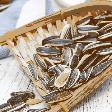 Roasted Sunflower Seeds, 8.82oz