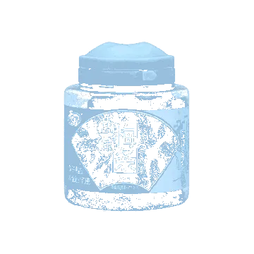 Salted Preserved Fruit 170g